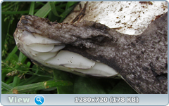 0_10b536_4fdbe3e_orig.png