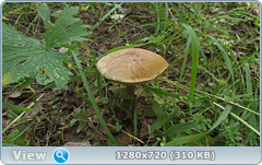 0_ef367_6a15a9f9_orig.png