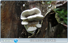 0_e94de_a6acd2ba_orig.png