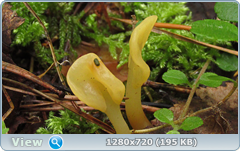 0_eab6f_601c01e9_orig.png