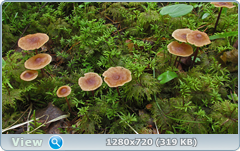 0_10aa54_bfbbd45b_orig.png