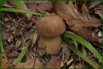 0_ef853_36c5f057_orig.jpg