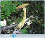 0_130bbf_7b9c9395_orig.png