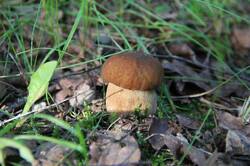 0_12654a_de8851c5_orig.jpg
