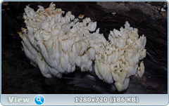 0_1121d0_12ae9455_orig.png