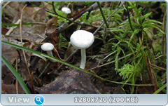 0_112a07_fa92364a_orig.png