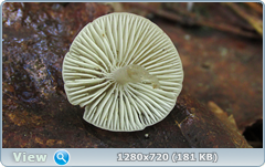 0_109276_f05616ad_orig.png
