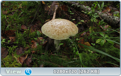 0_11056a_58cbbfec_orig.png