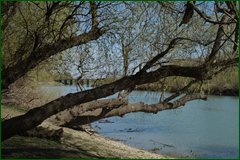 0_e24c9_8fe426c2_orig.png