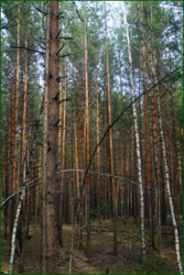 0_e308c_949b83e2_orig.png
