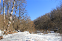 0_11af51_613b0e8_orig.png