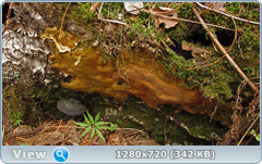 0_103e37_6ced36e8_orig.png