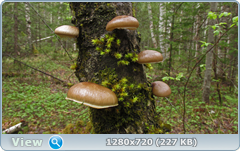 0_105953_d52d4764_orig.png
