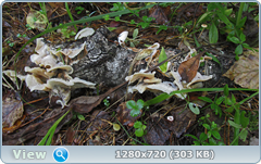 0_1121e7_1db02a59_orig.png