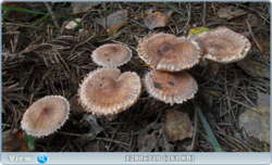 0_112add_5b36d399_orig.png