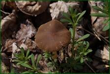 0_f55c0_fe508e35_orig.jpg