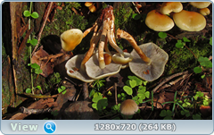 0_1122f0_fea1f334_orig.png
