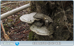 0_102937_377c6eac_orig.png