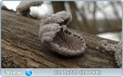 0_102965_22e39d79_orig.png