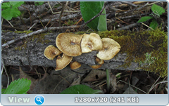 0_106ae6_fc400d5d_orig.png
