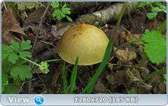 0_106b0e_bf9b1455_orig.png