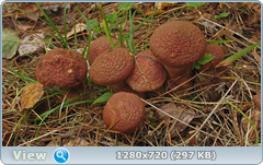 0_10f259_1cd3ae97_orig.png