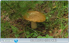 0_10f269_ee5938bb_orig.png