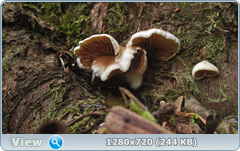 0_112cf5_854f9ede_orig.png