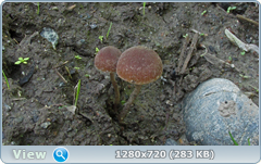 0_107e99_3fd96d06_orig.png