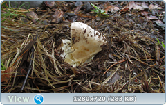 0_10d408_b8a9cf29_orig.png