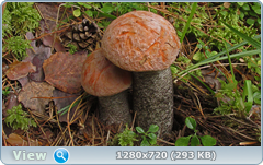 0_1120b8_a94b6165_orig.png