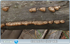 0_114ff1_c82a71e9_orig.png