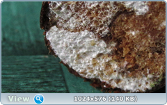 0_11b809_27a40cf3_orig.png