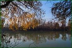 0_c5d3d_33535ed9_orig.jpg