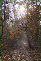 0_c5d51_ed8b006a_orig.jpg