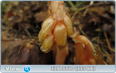 0_e9b3b_d7894953_orig.png