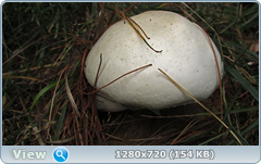 0_e9b41_c2248ea5_orig.png