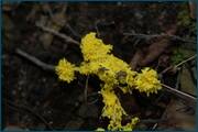 0_d09e8_406ba295_orig.jpg