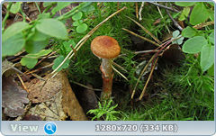 0_f01ca_3c31f6b4_orig.png