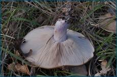 0_cc621_2ca6741a_orig.jpg