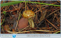 0_eacde_f7c579eb_orig.png