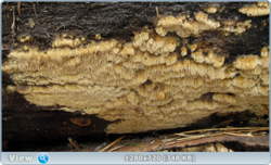 0_e1812_5f69ff63_orig.png