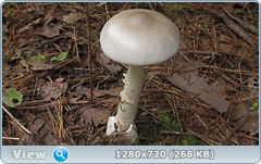 0_eab21_fc42bcb3_orig.png