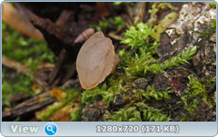 0_f27f4_176b3364_orig.png