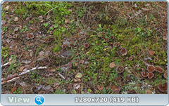 0_10f860_83877c3a_orig.png