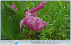 0_e6a5c_9b4b886f_orig.png