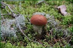 0_12b090_99d2244a_orig.jpg