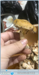 0_f10f9_675056ce_orig.png