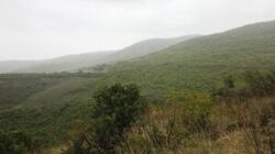 0_59f01_76fd72d_M.jpg