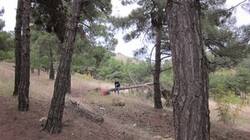 0_59f09_d1183cfe_M.jpg